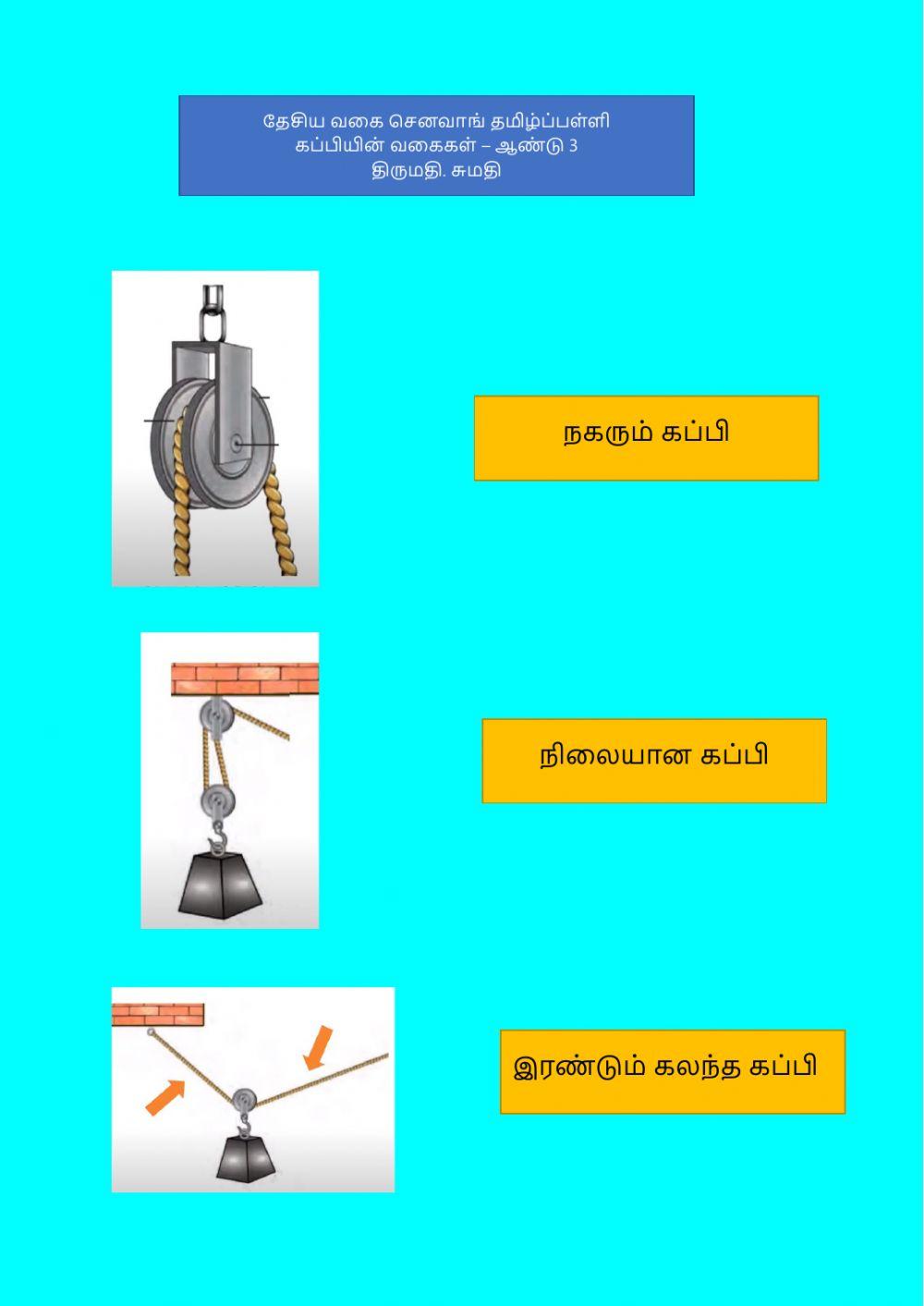 கப்பியின் வகை