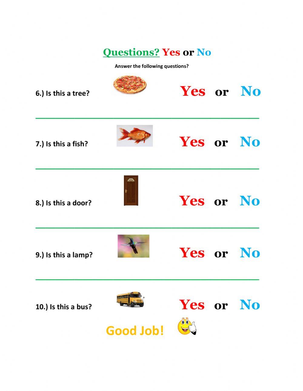 Yes or No Questions-3