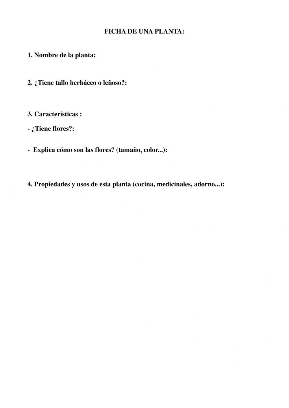 Ficha Las Plantas1