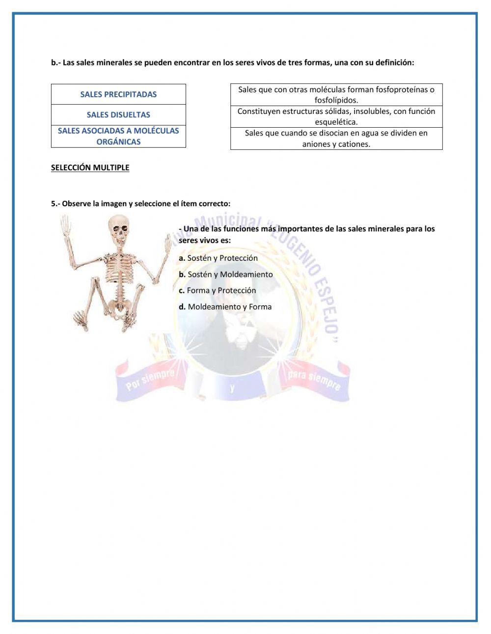 Taller: El agua y Sales Minerales