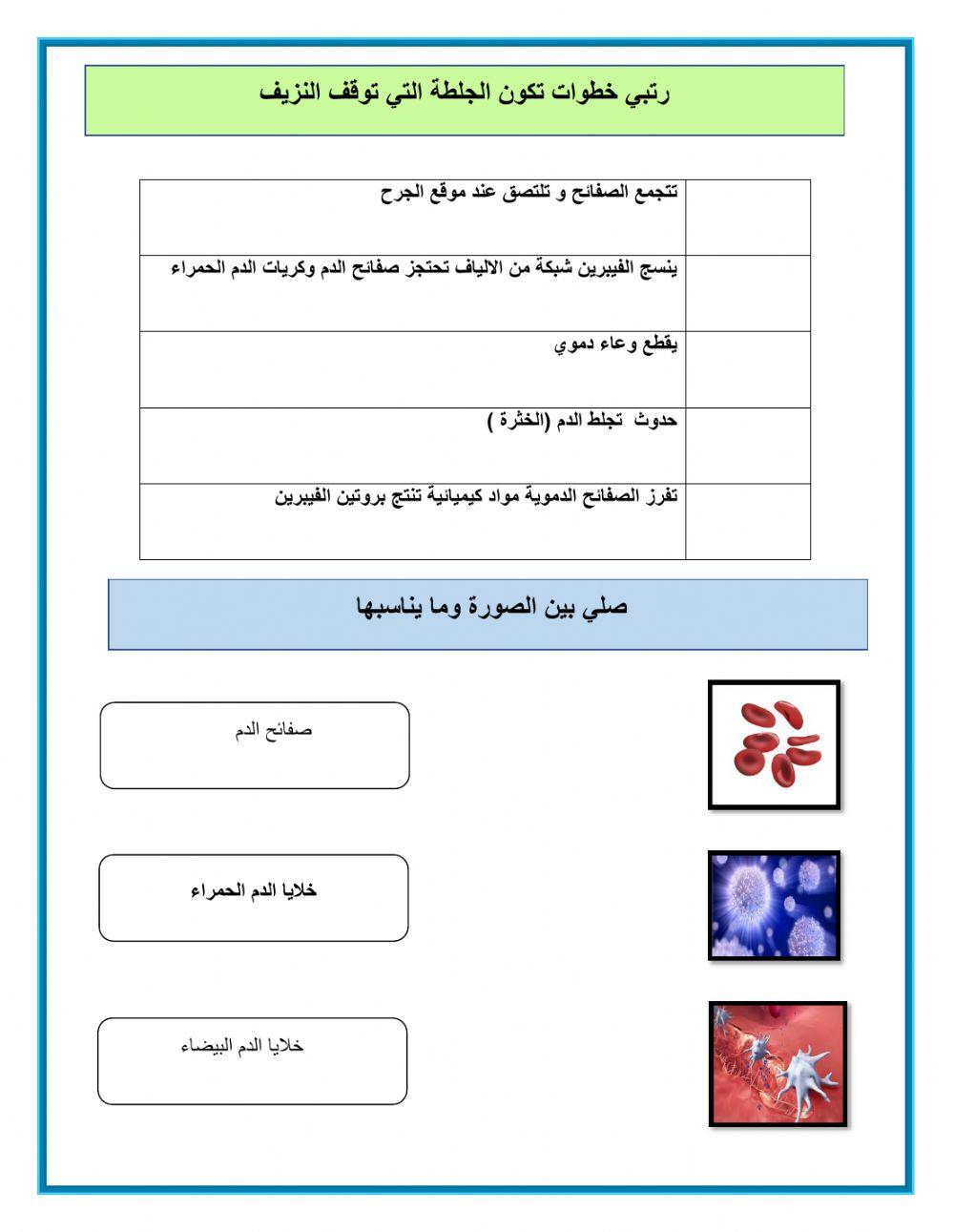 ورقة عمل الدم