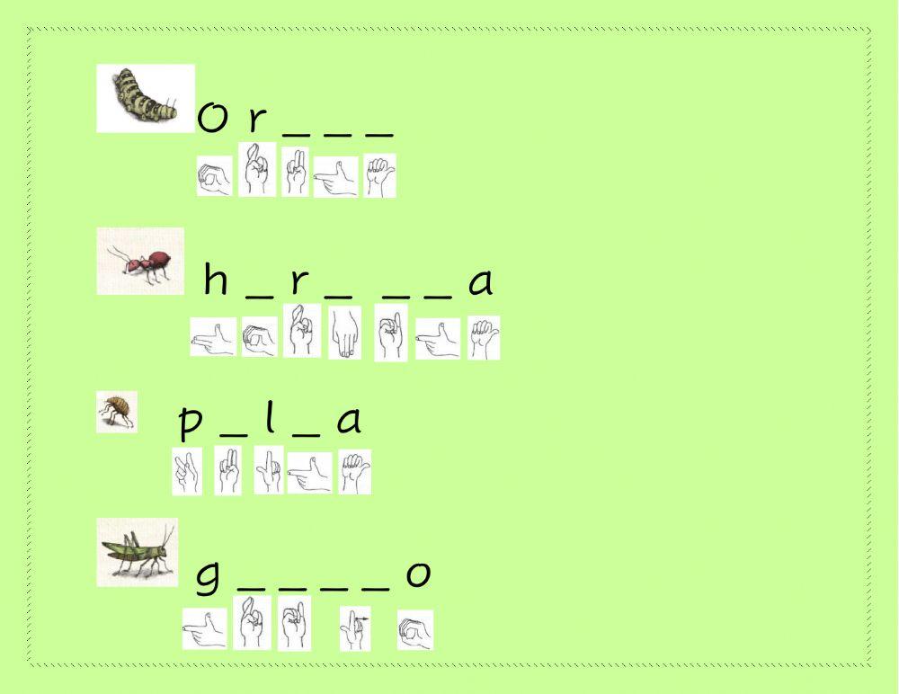 Bichos-dactilologia y logogenia