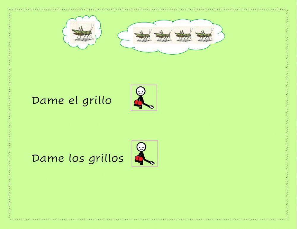 Bichos-dactilologia y logogenia