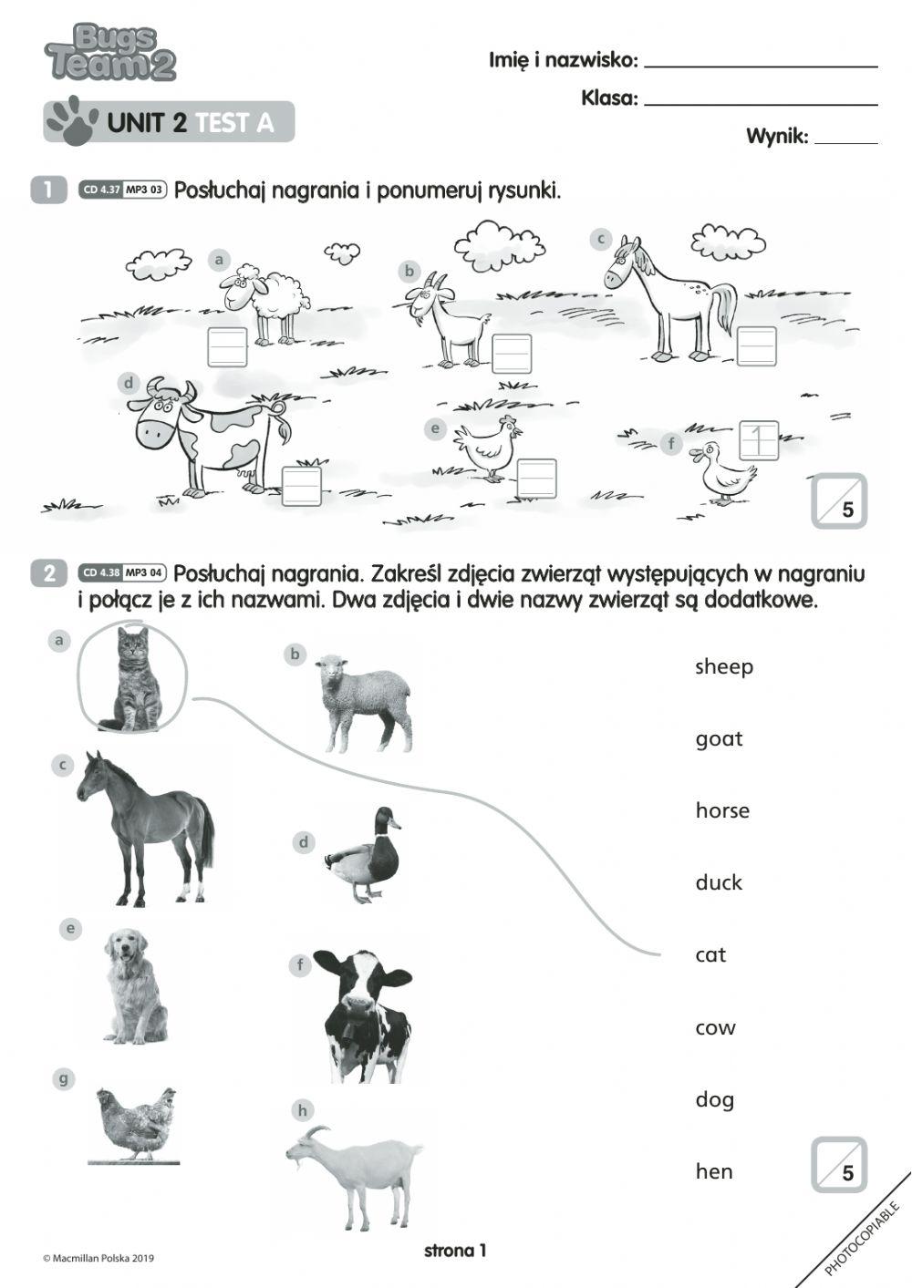 Bugs Team 2 - unit 2 test