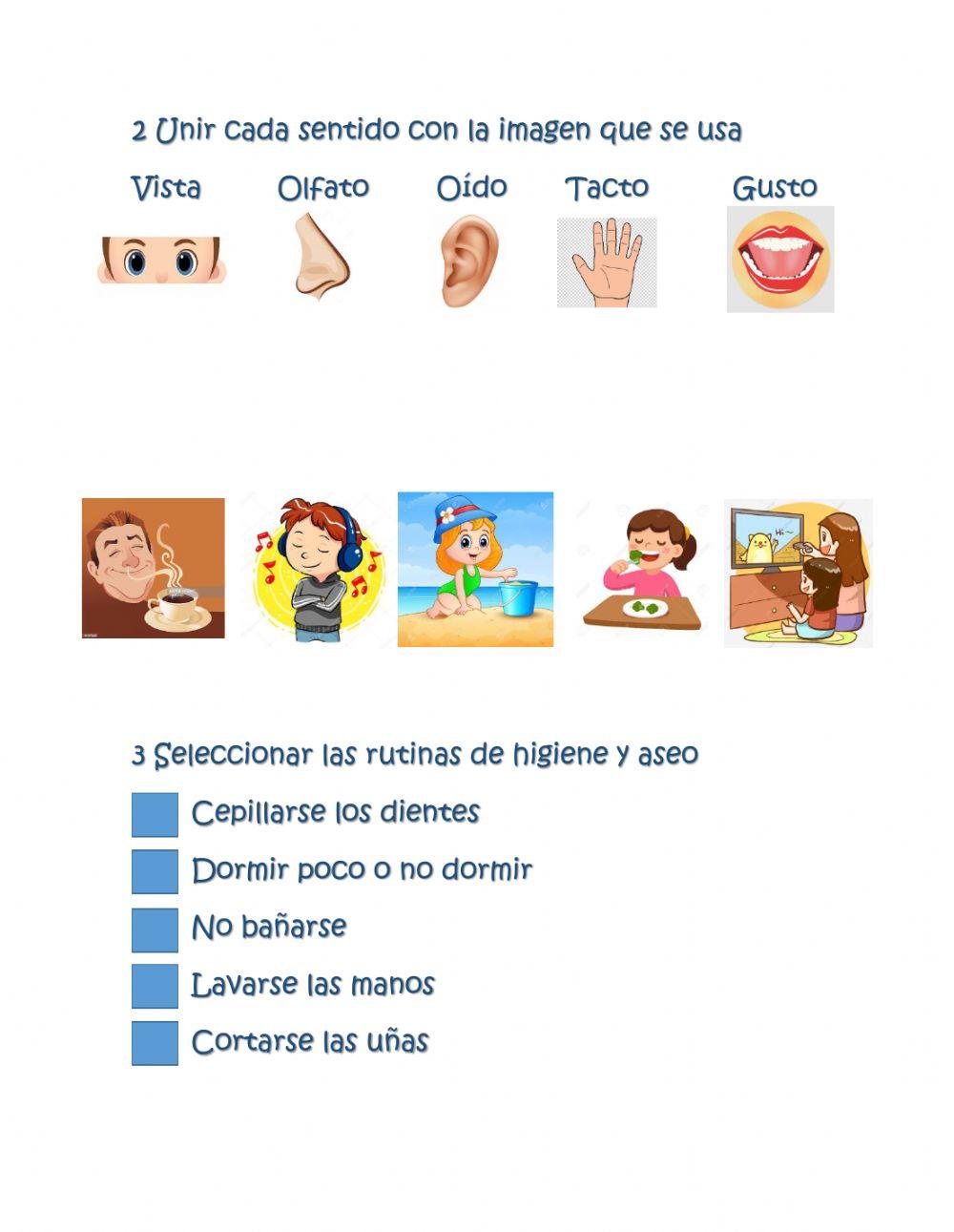Mi cuerpo y sus funciones