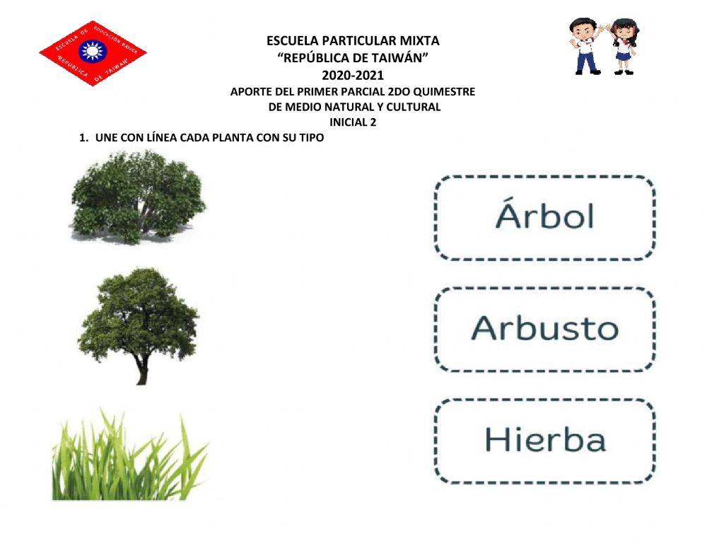 Aportemedio natural y cultural