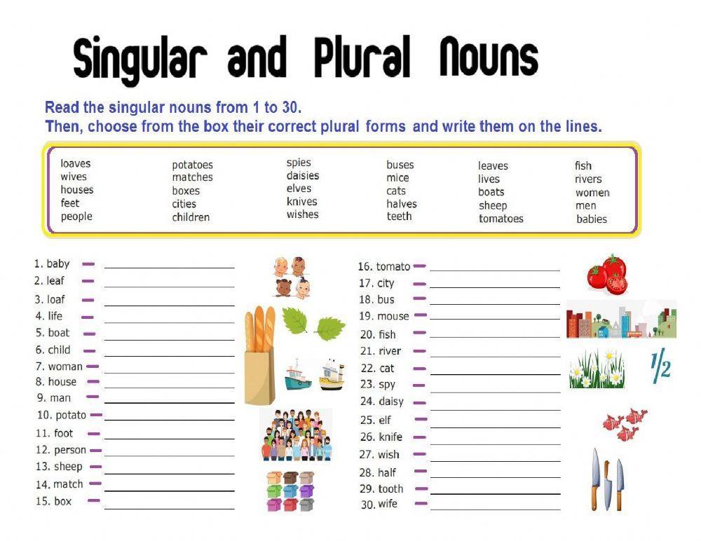 Plural nouns Plural nouns