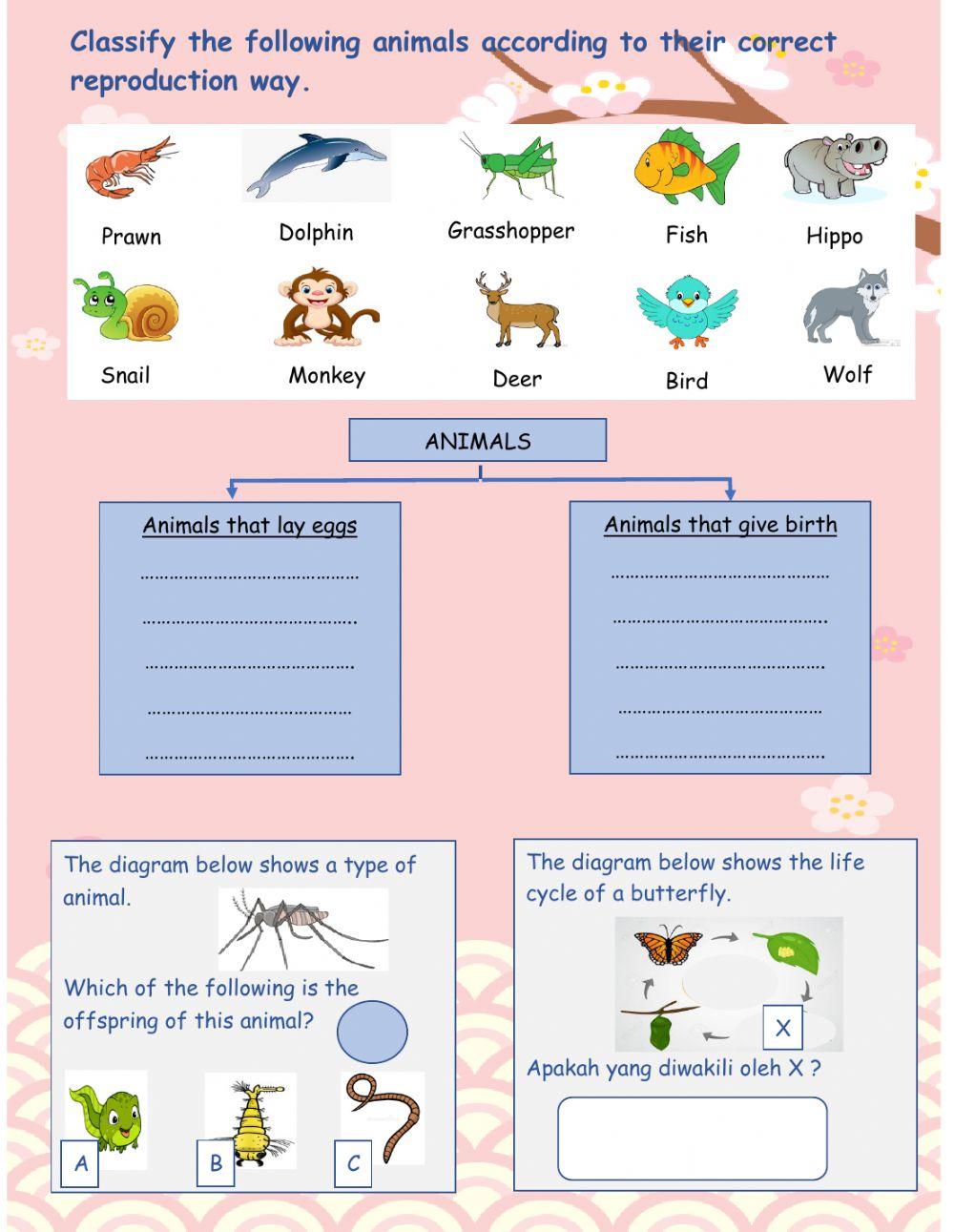594570 | Science year 2 | aidaayudalail | LiveWorksheets