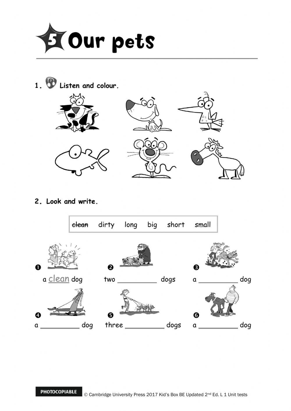 Kids Box 1 - Unit 5 Test
