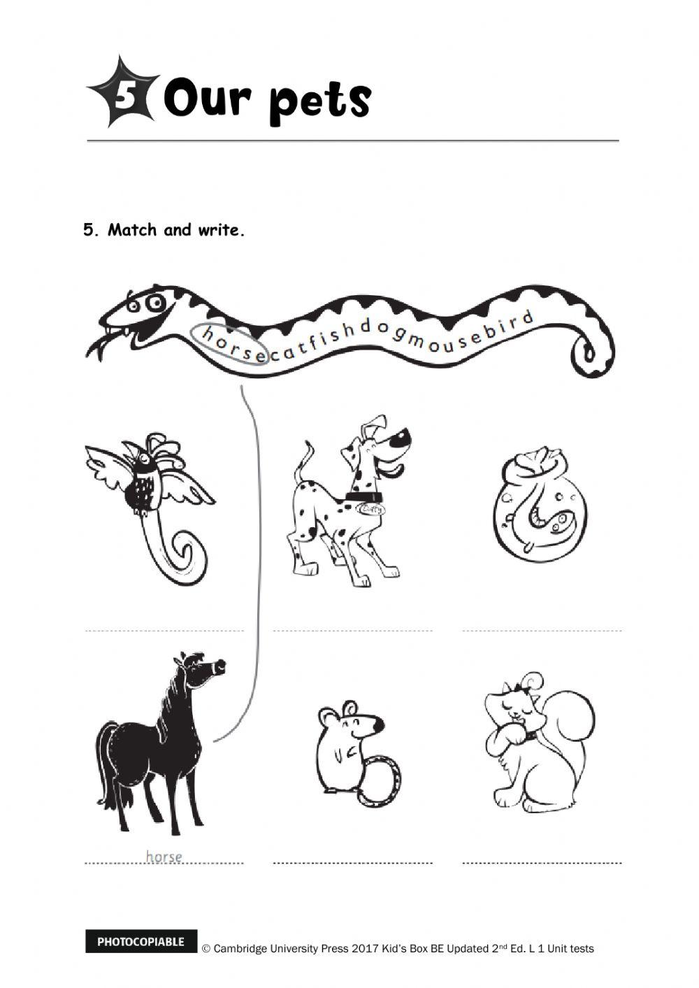 Kids Box 1 - Unit 5 Test