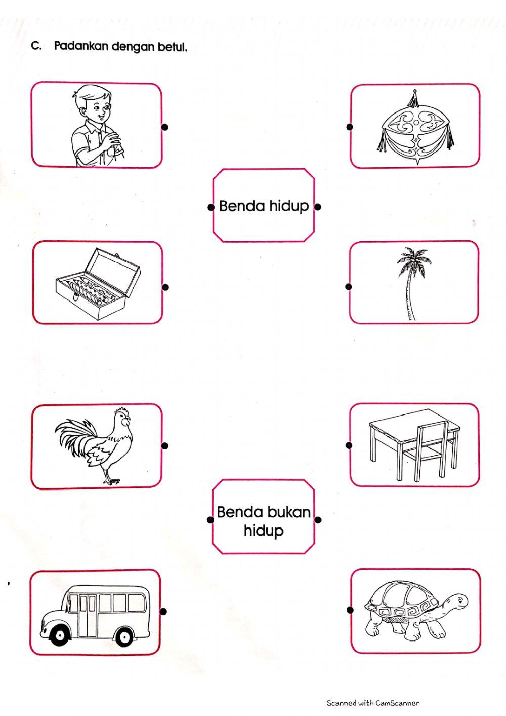 Penilaian Sains Prasekolah