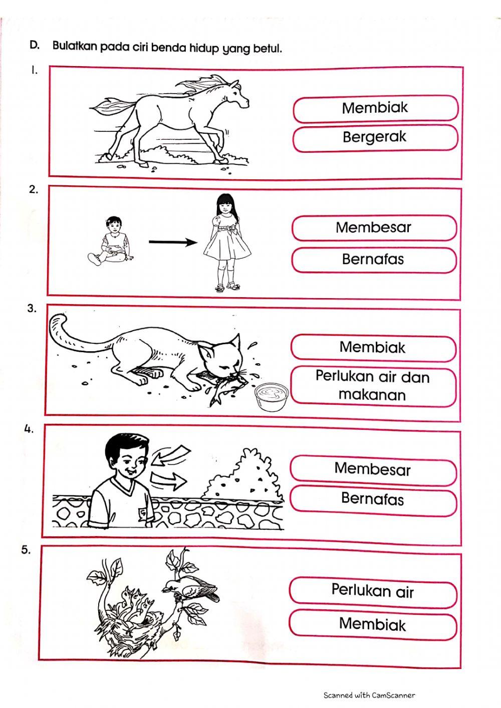 Penilaian Sains Prasekolah