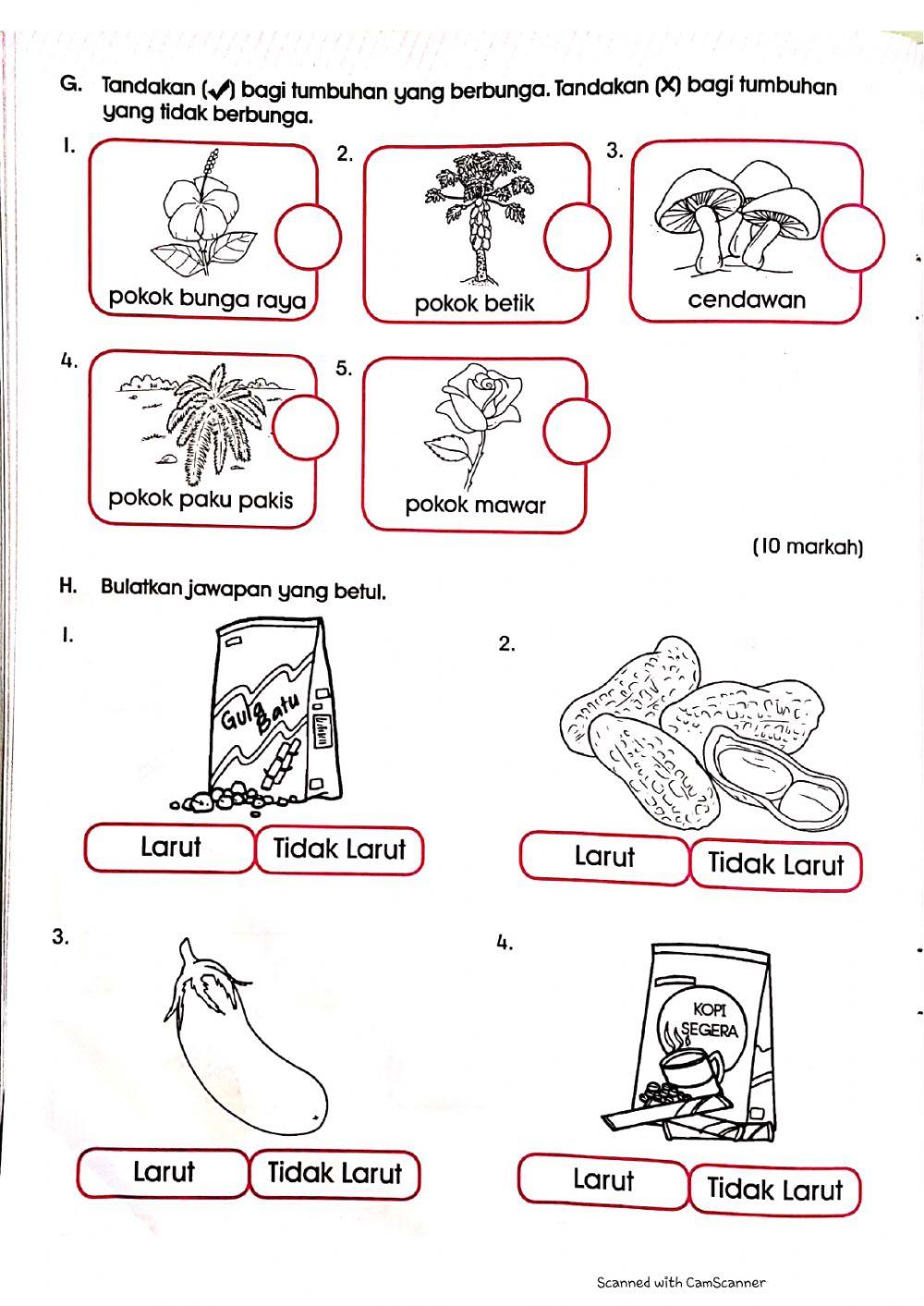Penilaian Sains Prasekolah