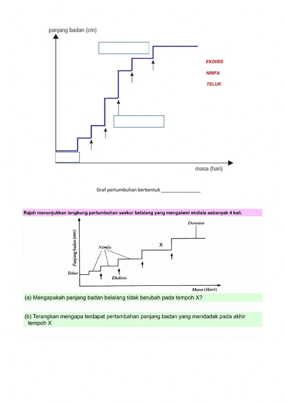 Pertumbuhan haiwan dan manusia
