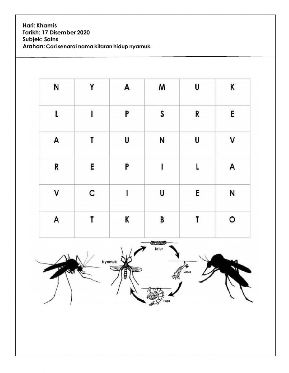 TUGASAN PKPB sains (5TAHUN) 17.12.2020