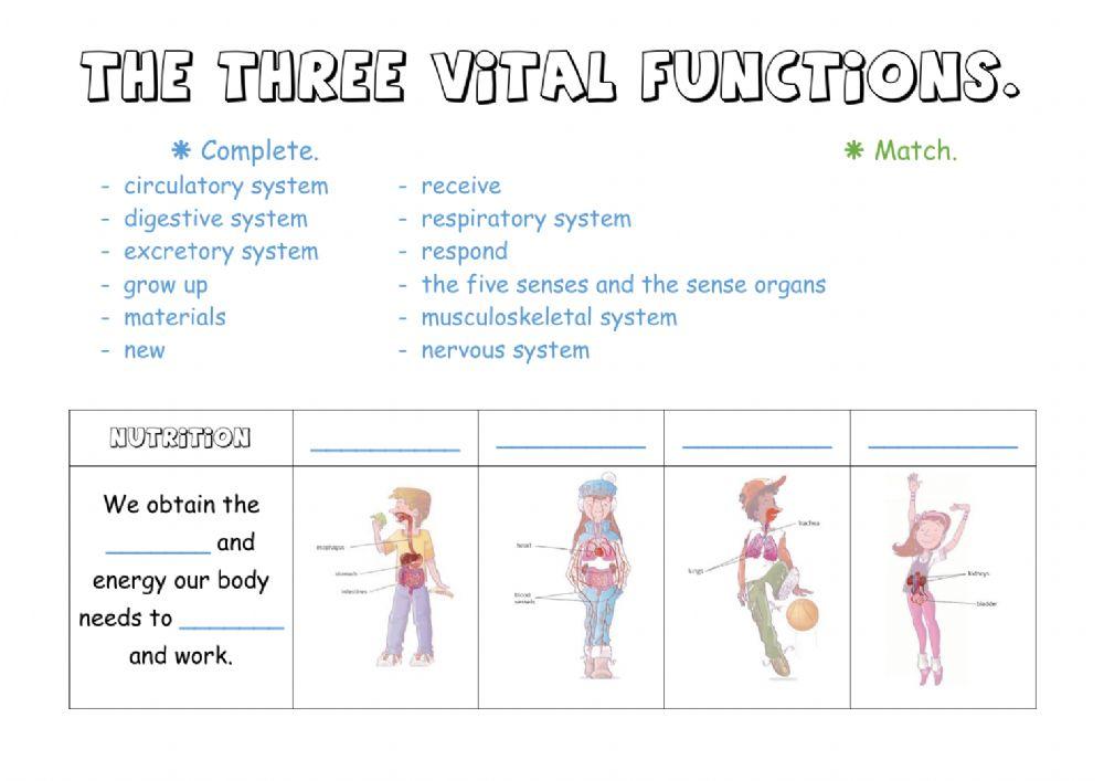 Vital functions