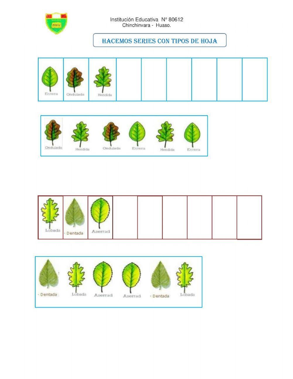 Series con tipos de hojas.
