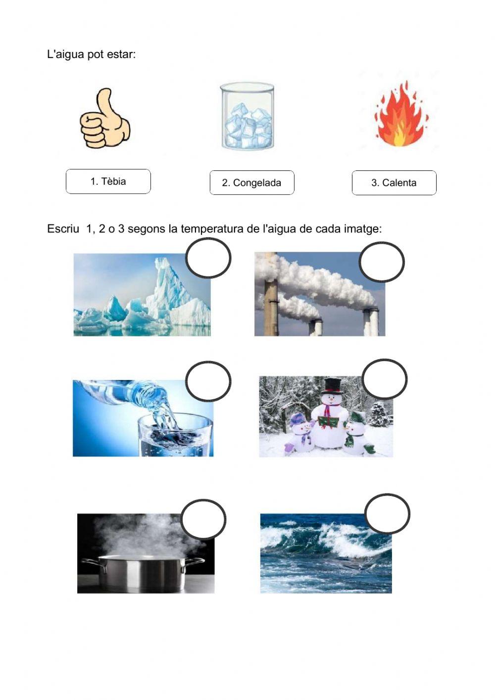 Els estats de l'aigua