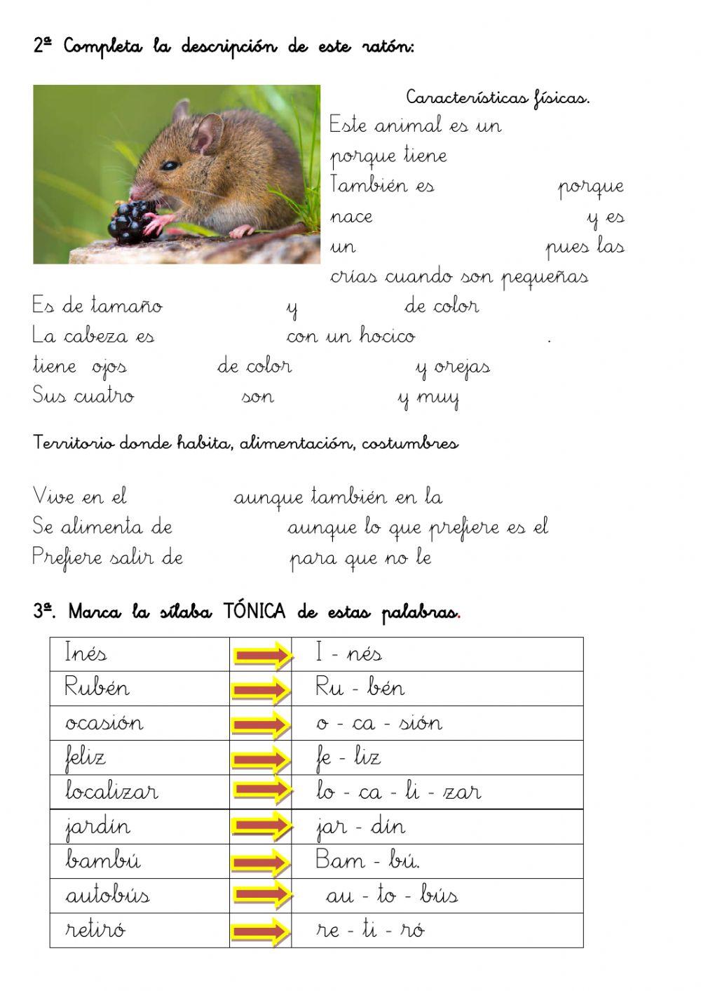 LENGUA 3º Repaso T04