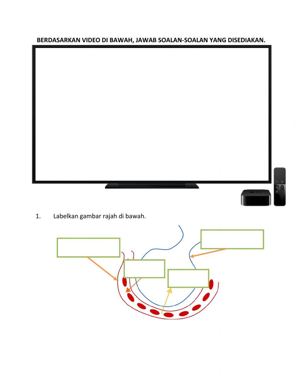 KSSM Sains Tingkatan 3 Topik 2.2 Pergerakan dan Pertukaran Gas di dalam Badan Manusia