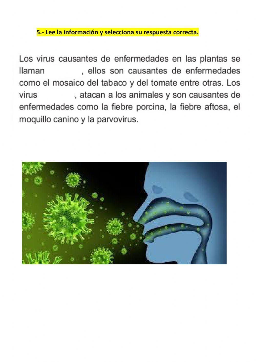 LOS VIRUS