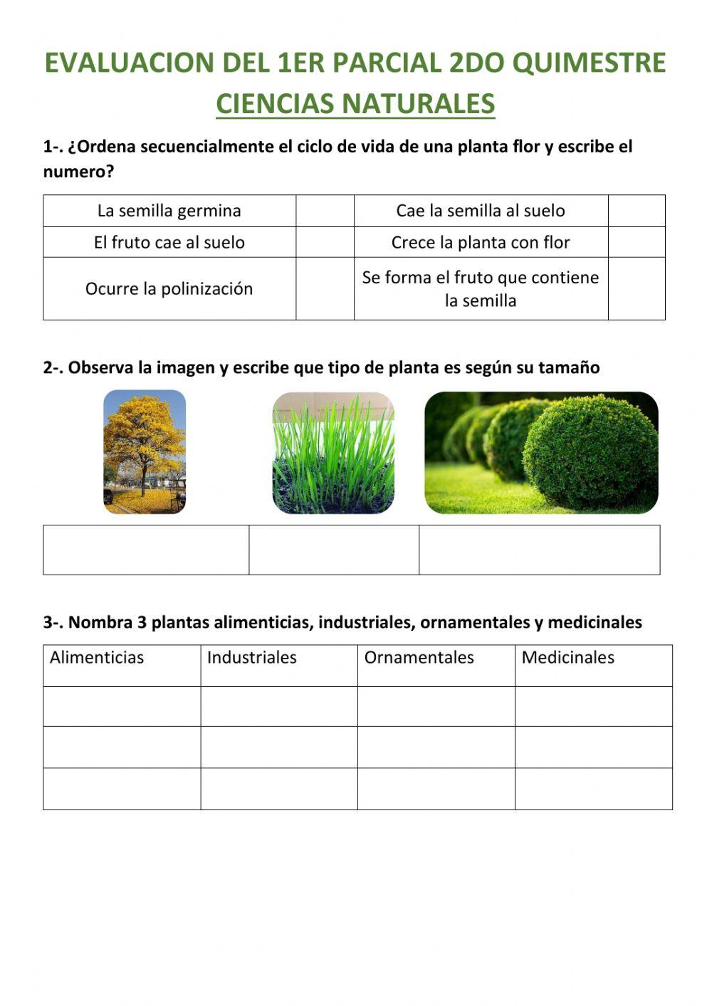 Evaluacion 3ero ciencias