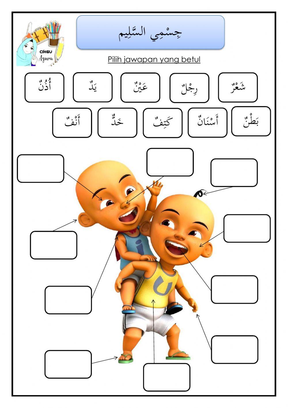 Anggota badan tahun 2