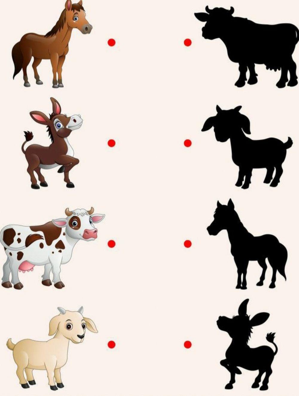 Animale domestice- Gaseste umbra potrivita 1