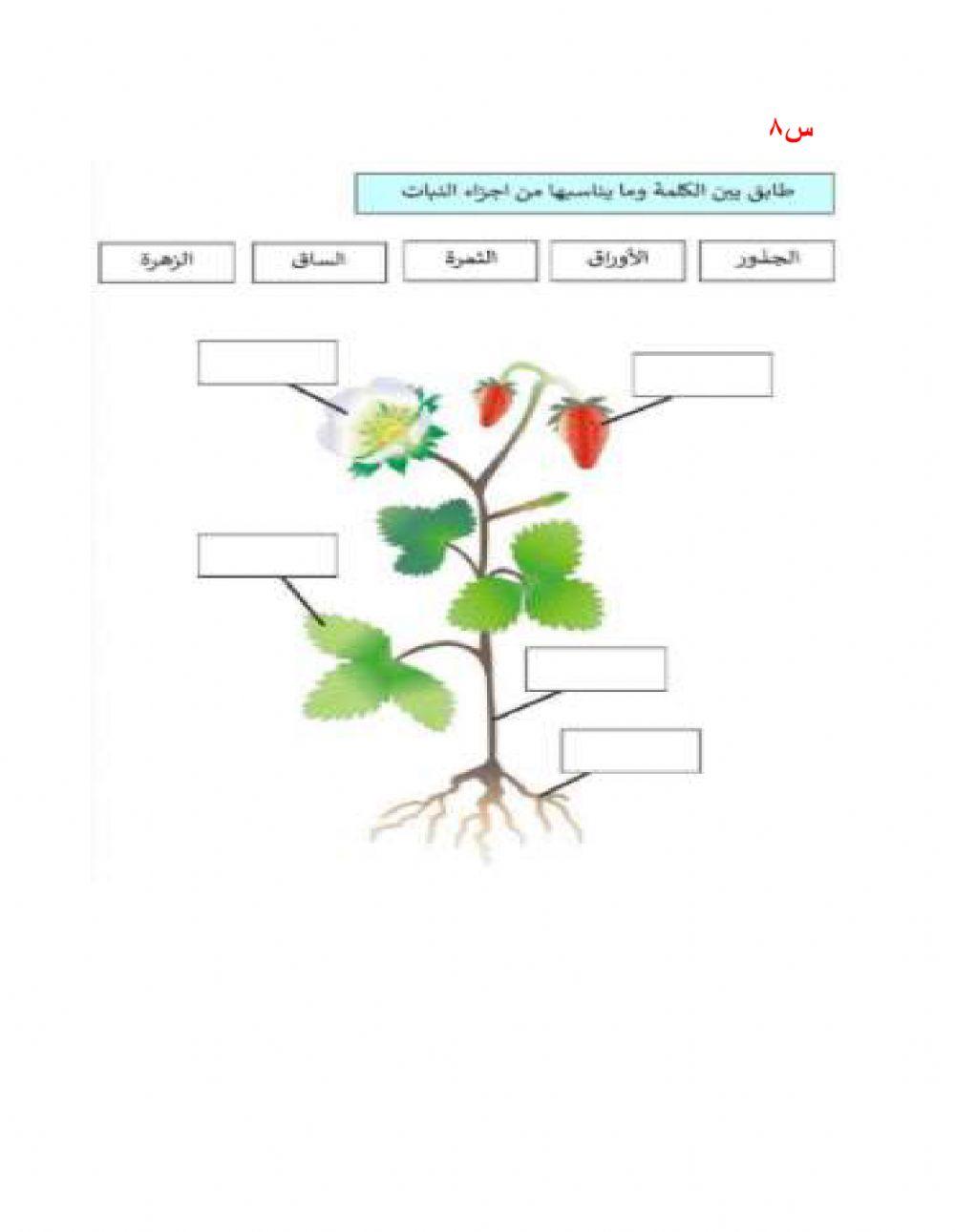 تدريب علوم متوسط