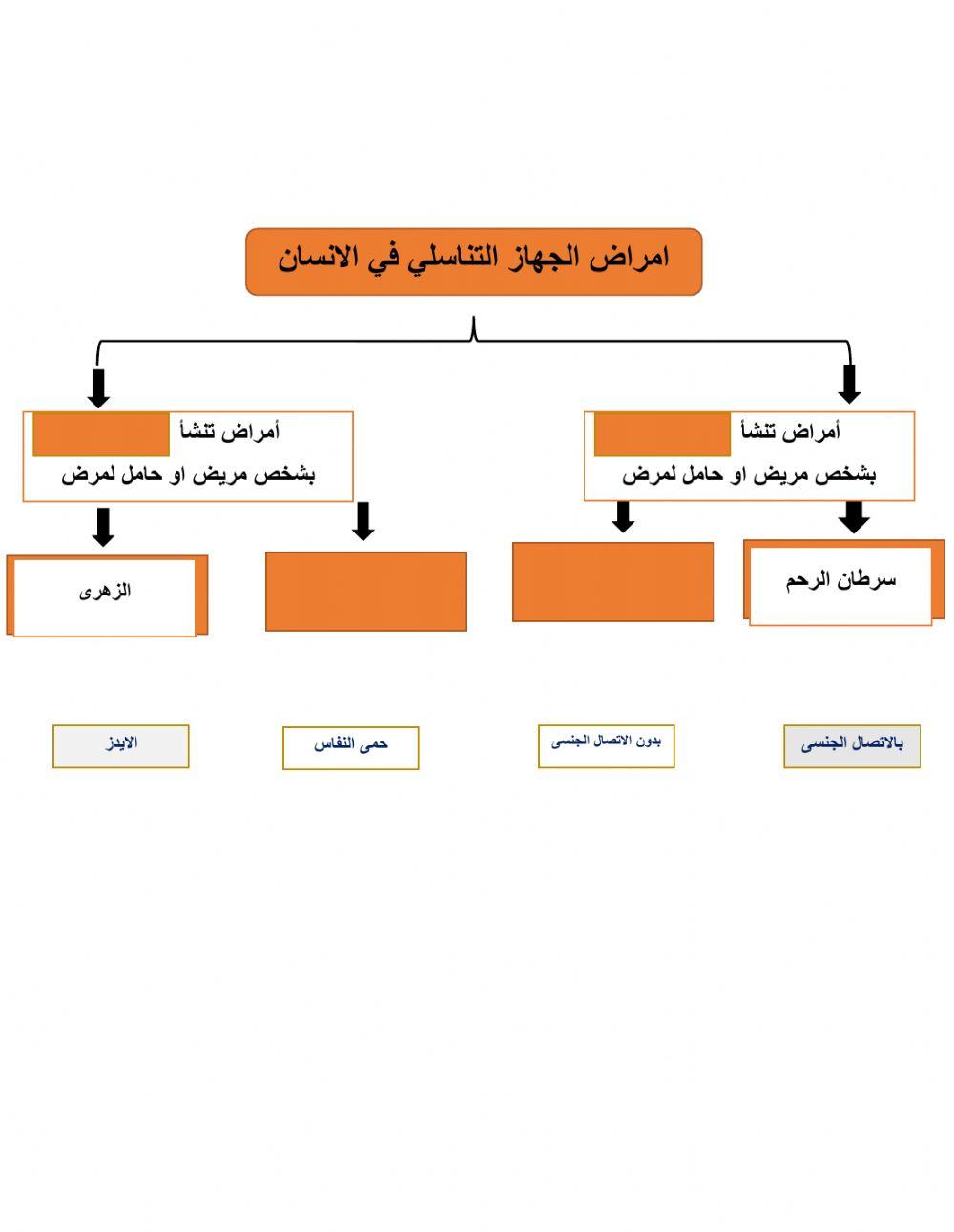 تدريب علوم متوسط