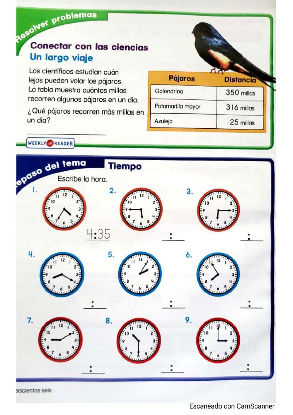 El reloj repaso del tema