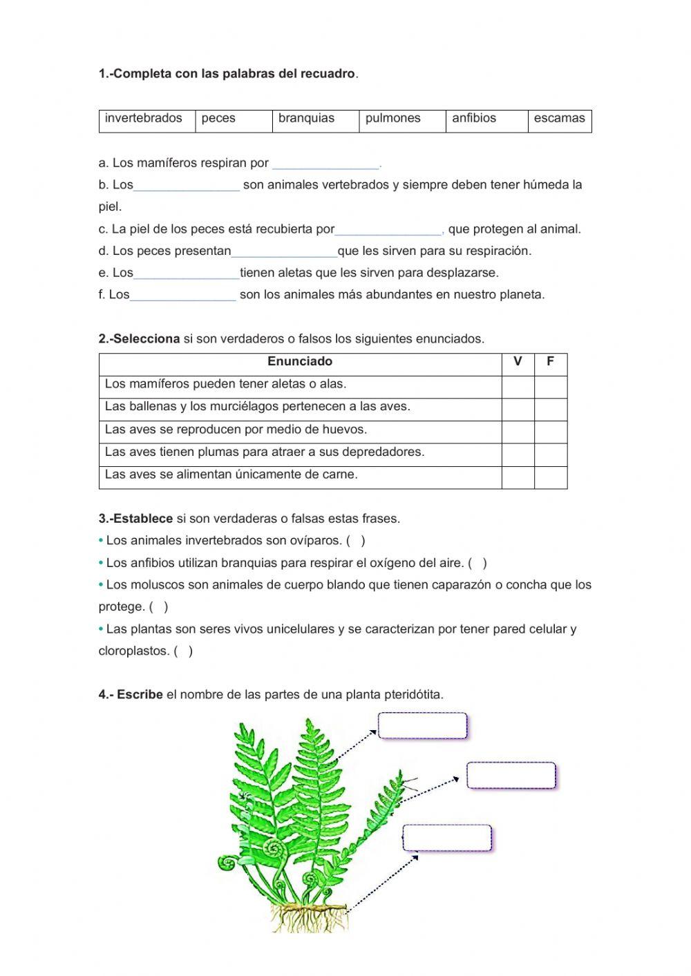 Cuestionario ciencias