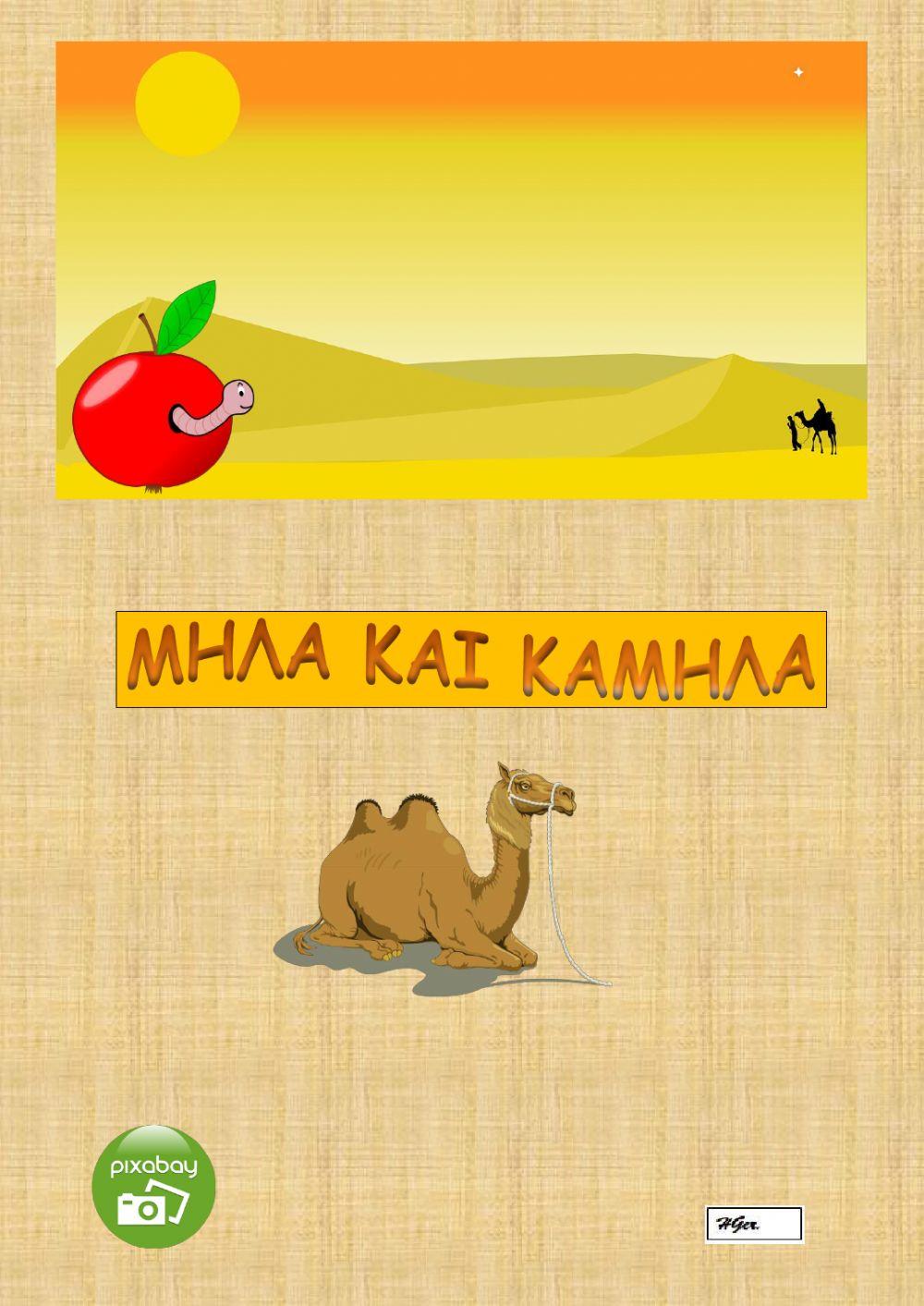 Μήλα και καμήλα