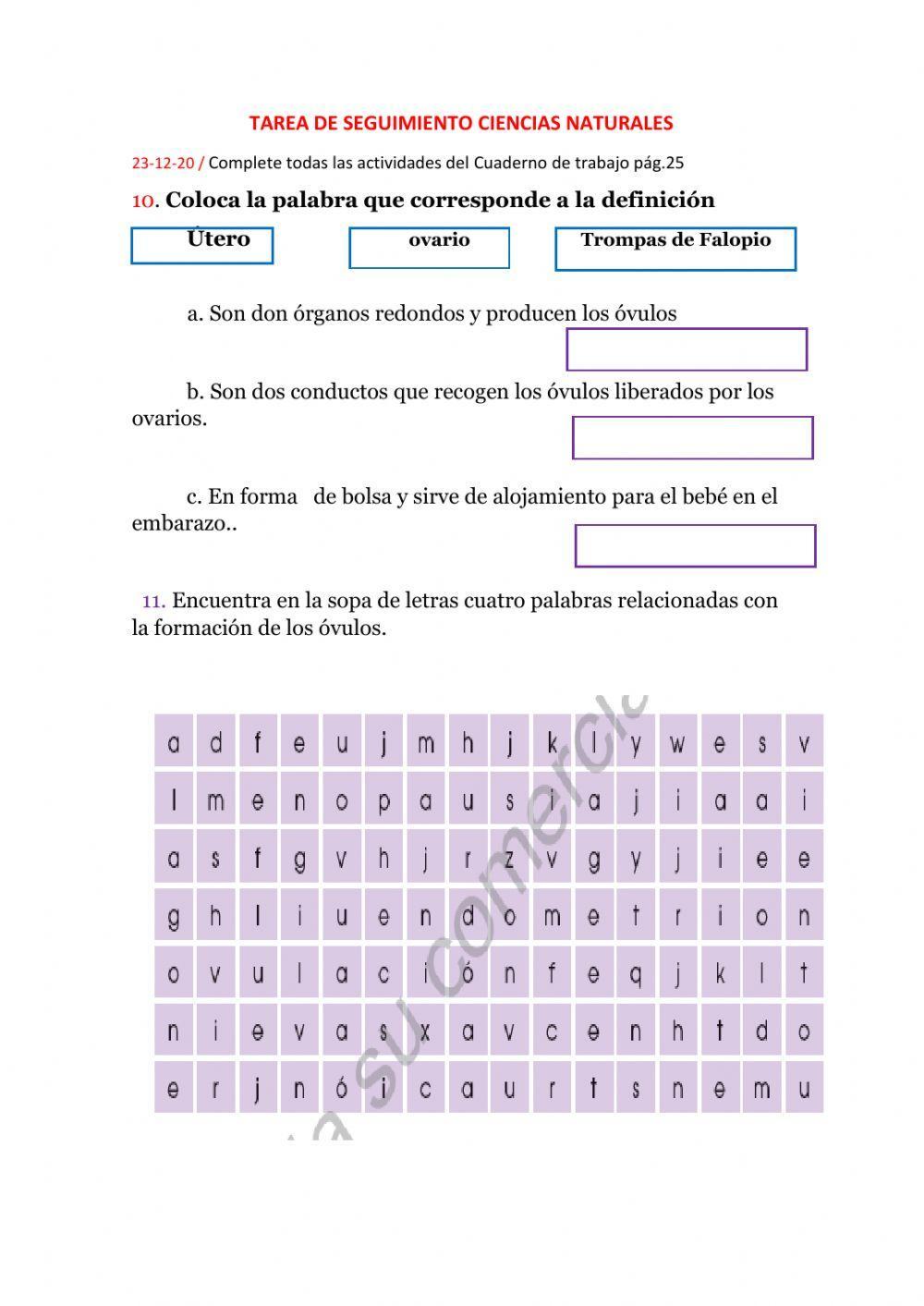 Reproducción Humana