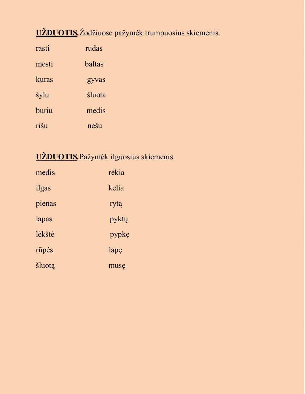 Ilgieji ir trumpieji skiemenys