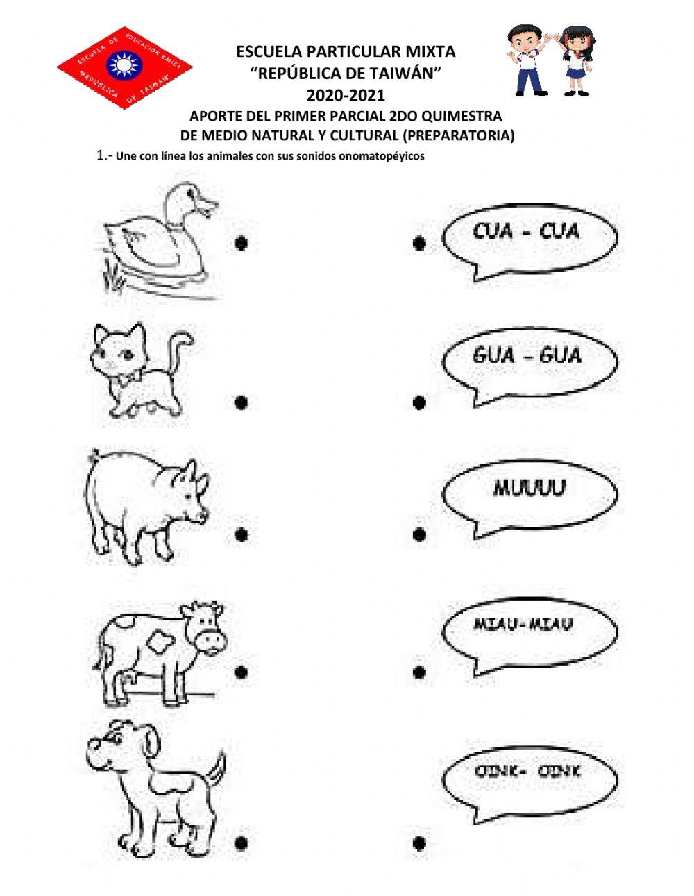 Aporte medio natural y cultural