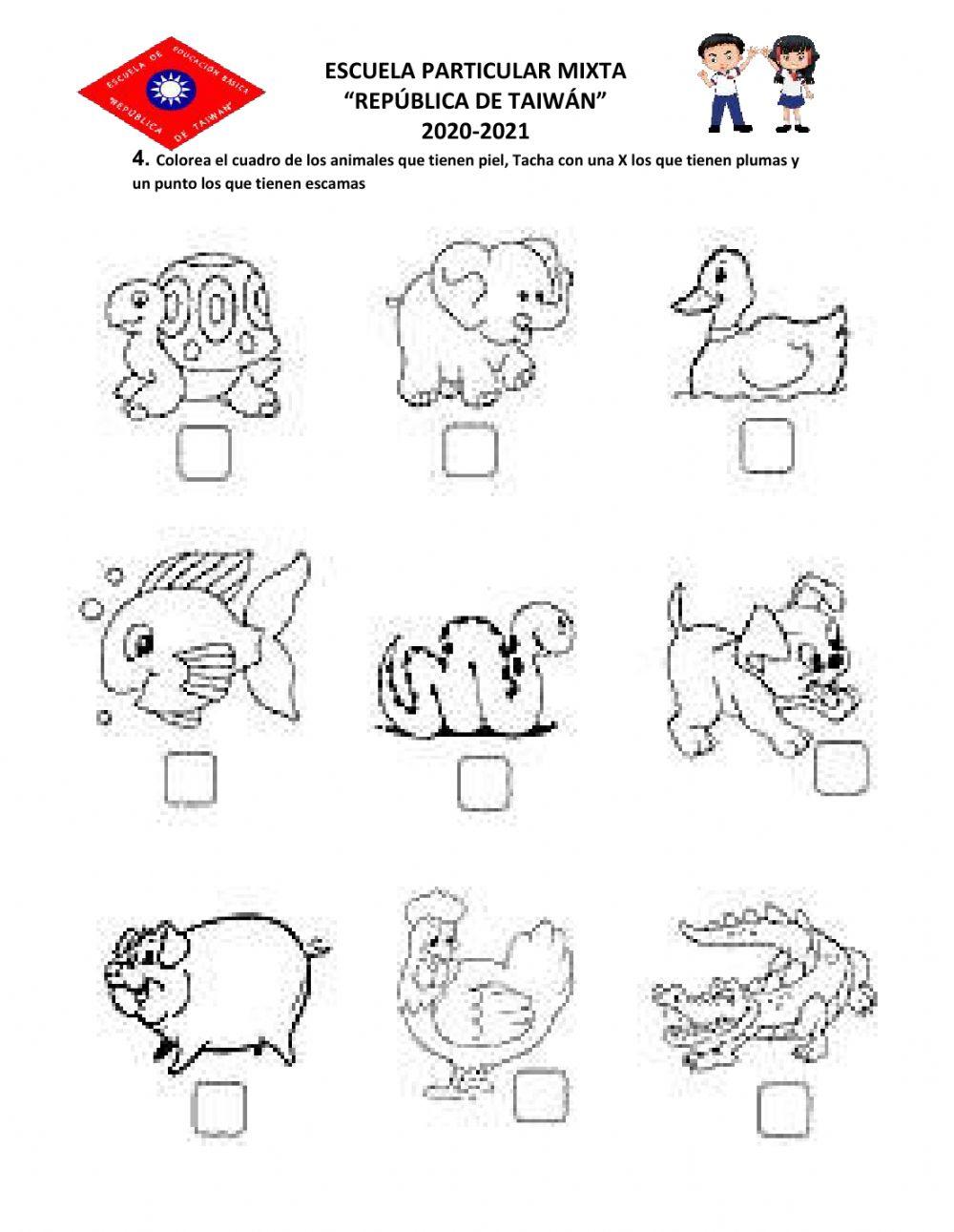 Aporte medio natural y cultural