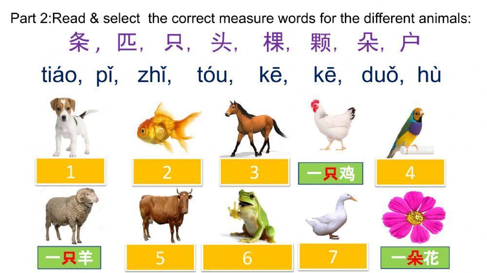 Measure word-量词