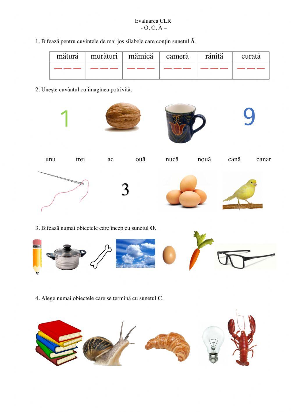 Evaluare CLR O,C, Ă worksheet | Live Worksheets