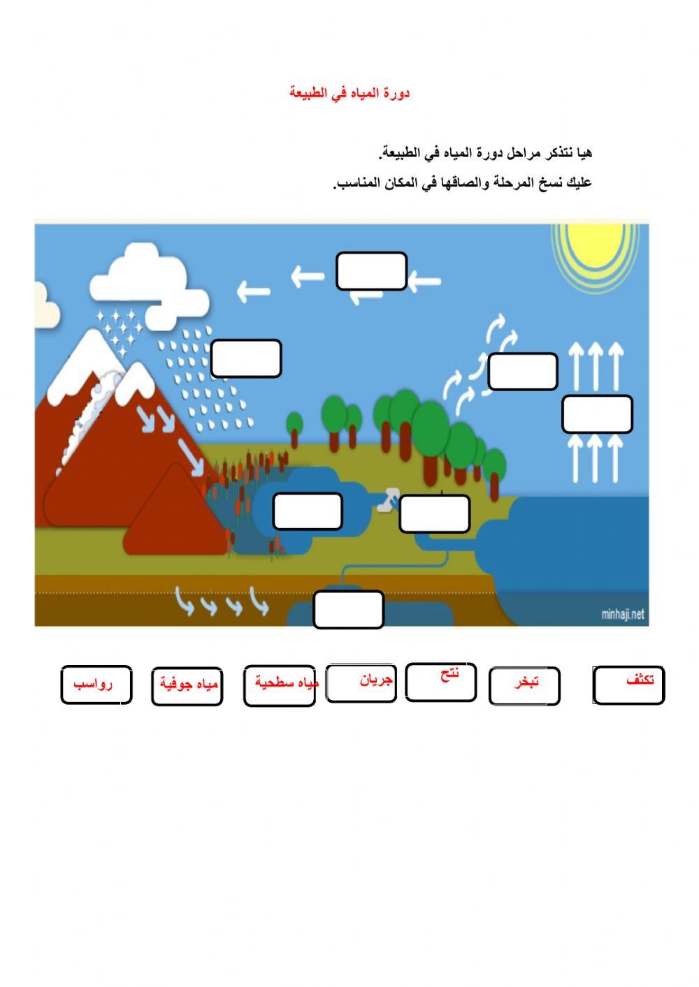 دورة المياه في الطبيعه