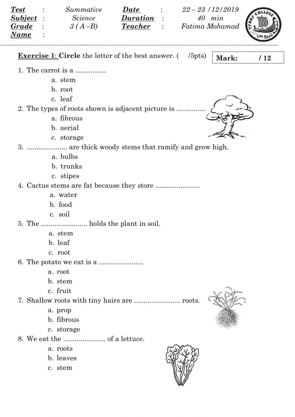 Grade 3 types of leaves, stems and roots