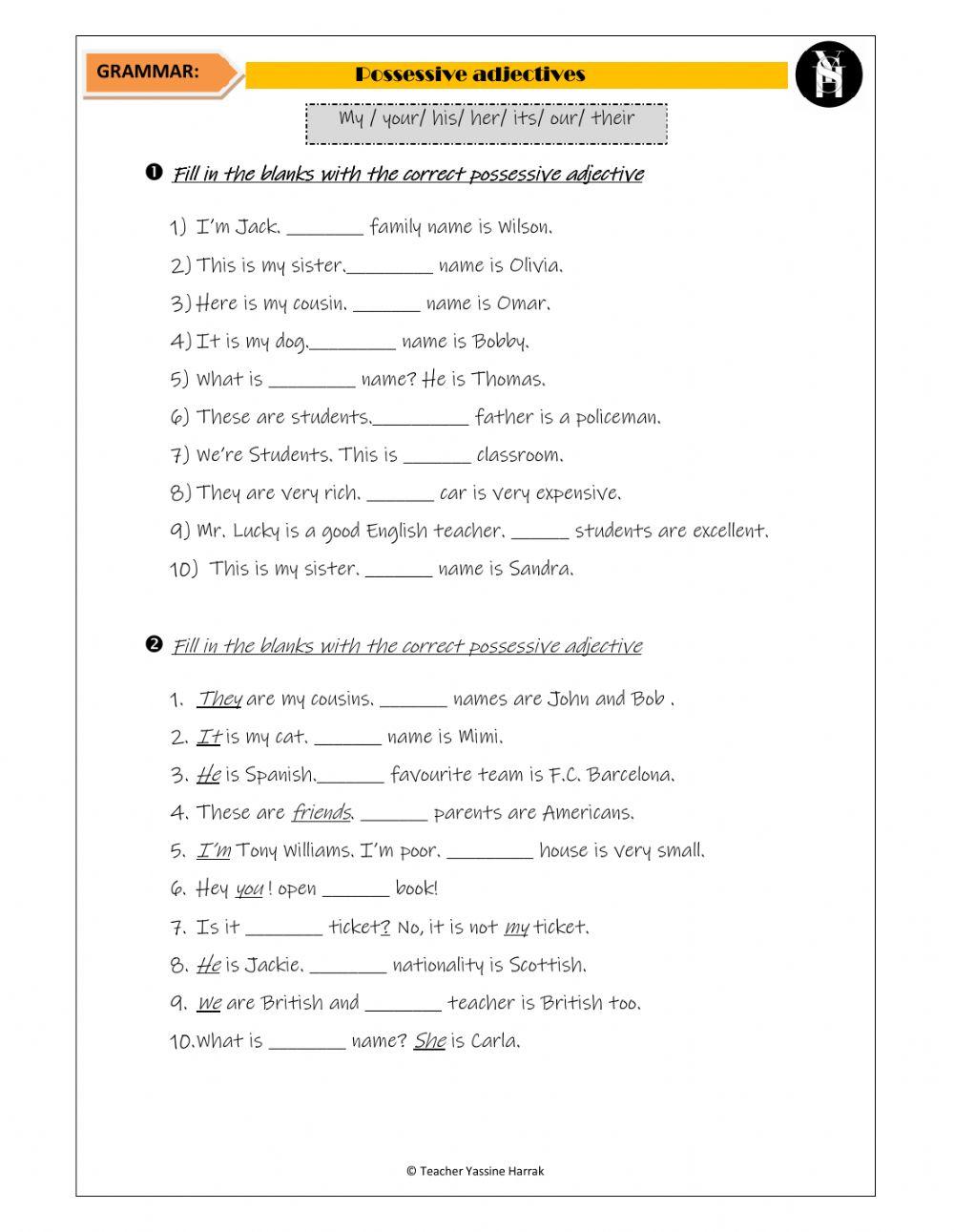 Possessive adjectives