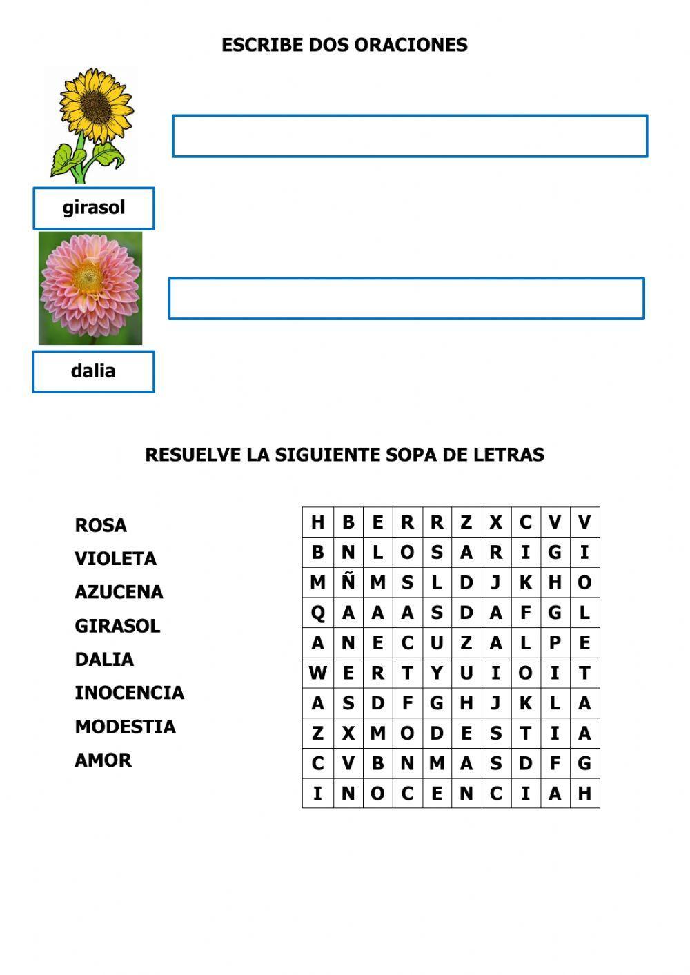 Comprensión de lectura 2º