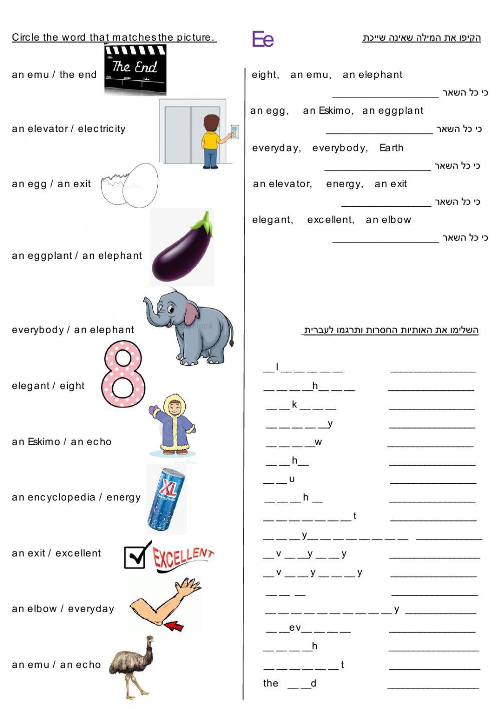 The Letter Ee, Dina Shterengas