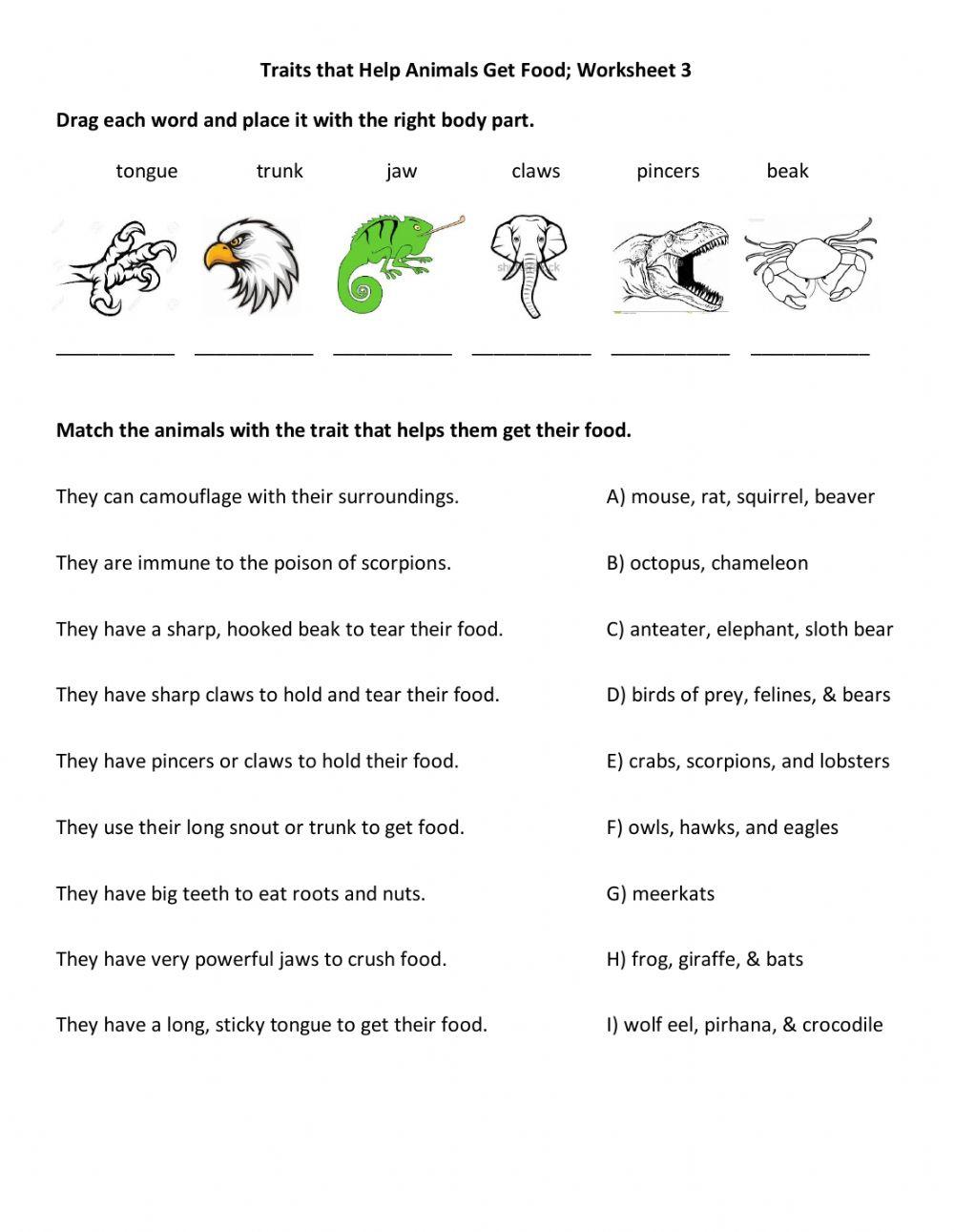 Traits That Help Get Food