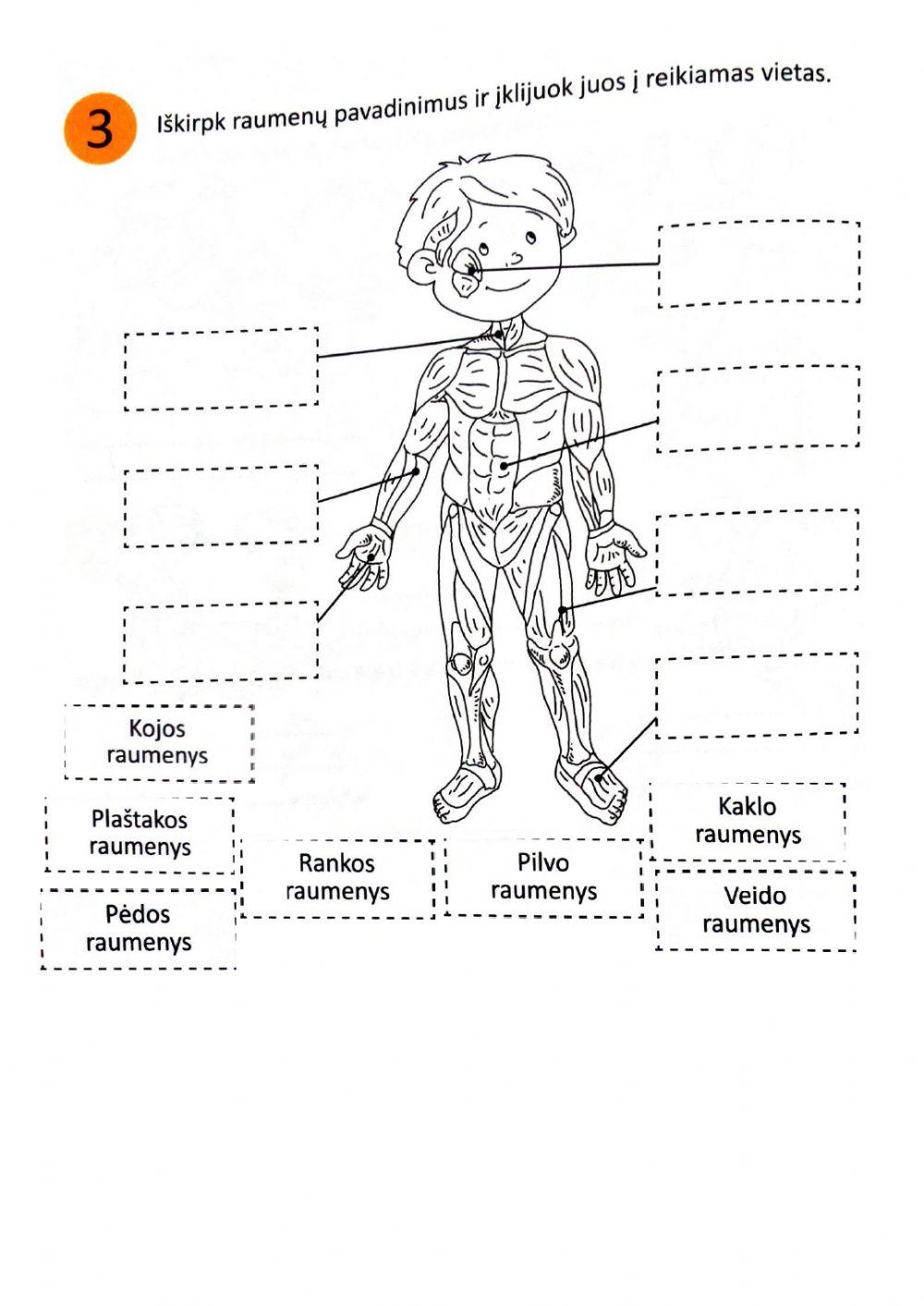 Kodėl galime judėti?