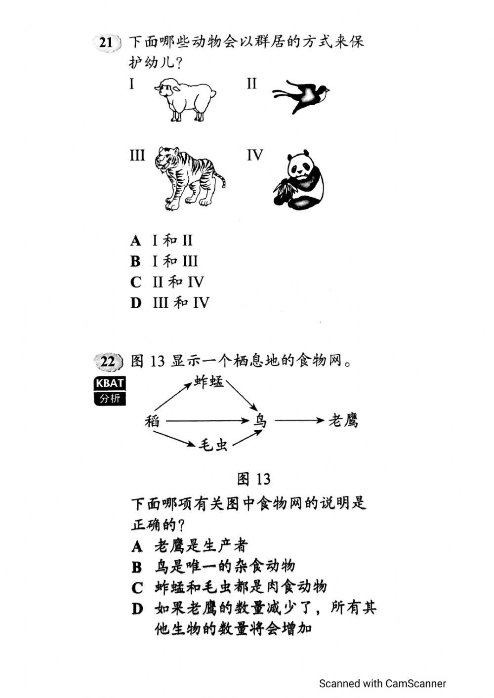 动物的生命过程 - 评估（2）