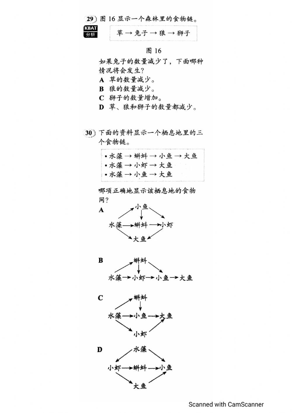 动物的生命过程 - 评估（2）