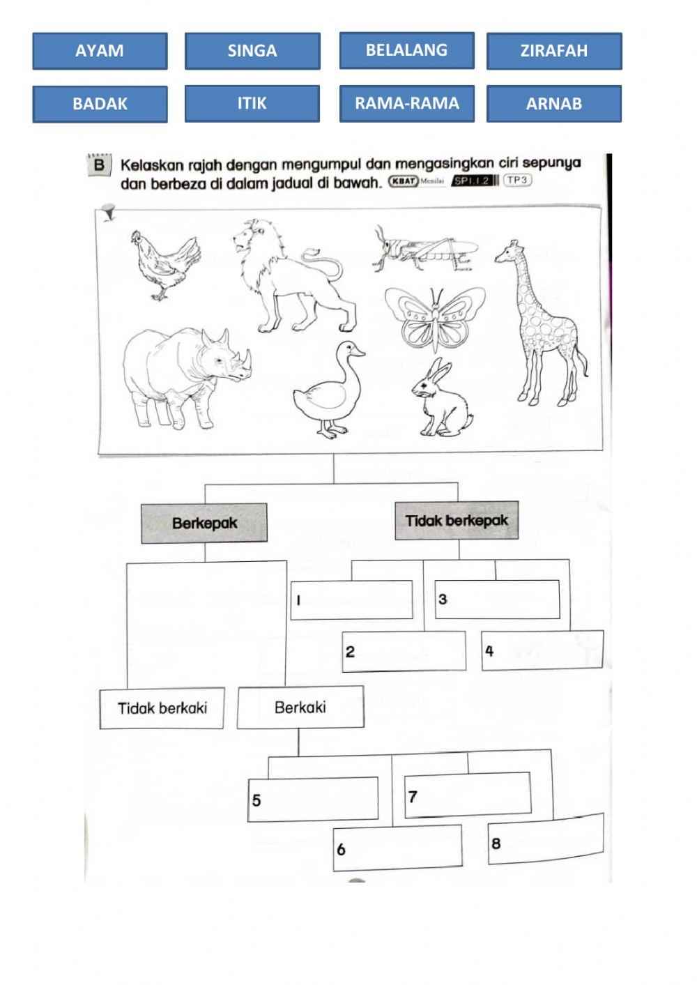 Sains tahun 2: kemahiran saintifik