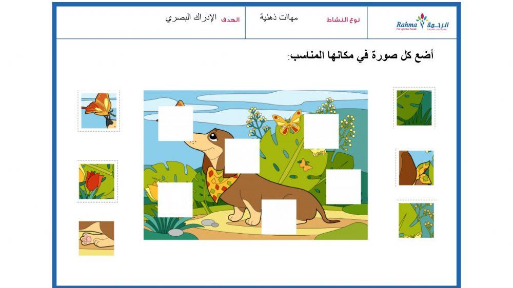 مهارات ذهنية